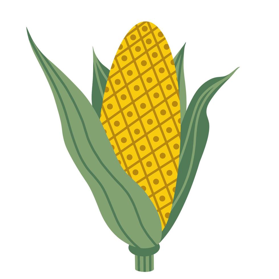 vektor illustration av ett ax. gul majs i gröna blad. det isolerade objektet på en vit bakgrund. platt stil, enkelt element.