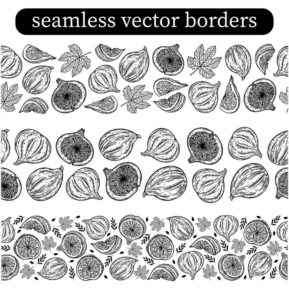 feigen satz von nahtlosen vektorgrenzen. reife Gartenfrüchte ganz, halb, in Scheiben geschnitten. skizze von frischen beeren mit zweigen, blättern. monochrome Umrisse tropischer Pflanzen. handgezeichnete botanische Cliparts vektor