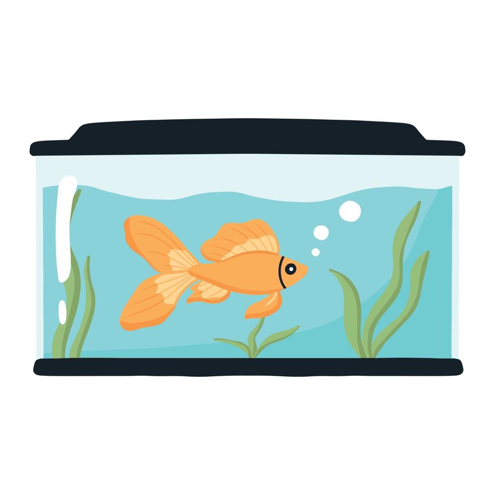 guldfisk i ett akvarium. vektor illustration. tamfisk i ett runt akvarium. akvarium med alger.