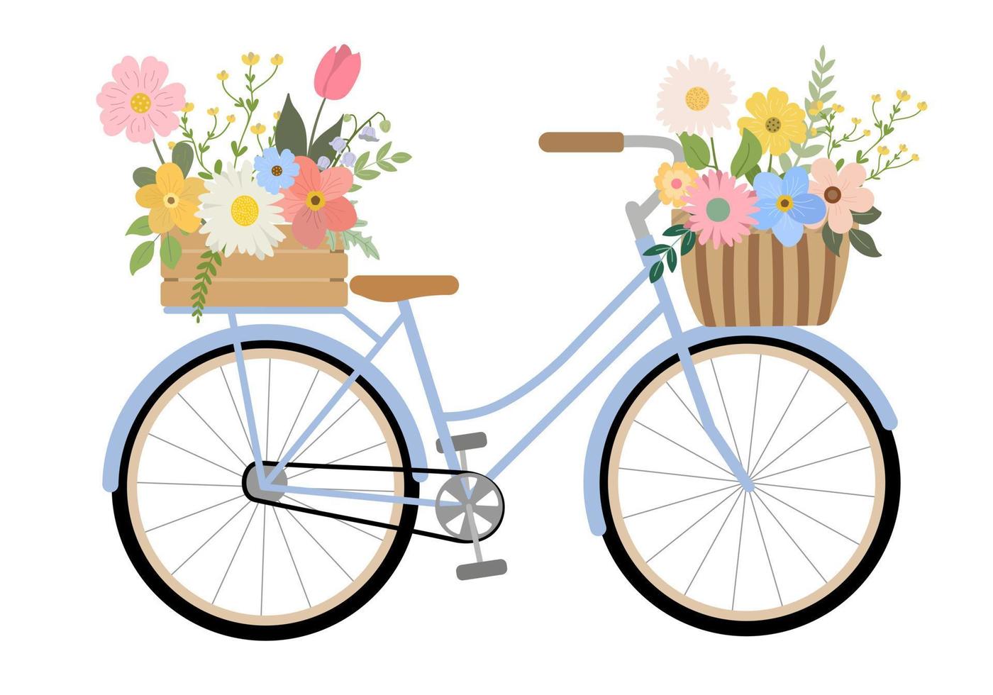 süßes handgezeichnetes fahrrad mit bunten blumen in kiste und korb. isoliert auf weißem Hintergrund. retro-fahrradtragekorb, kiste mit blumen und pflanzen. Vektor-Illustration. vektor