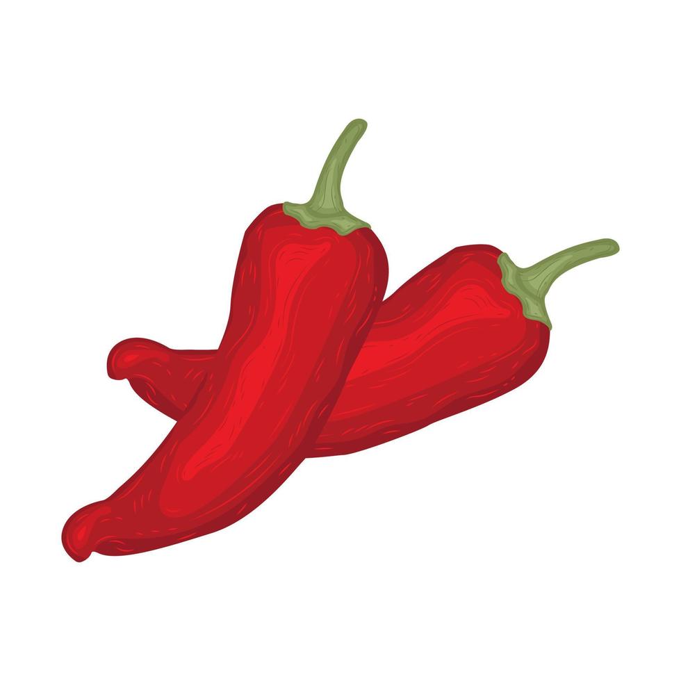 roter Chili würziger Feuergeschmack Küche brennende Hitze leckere Sauce organisches heißes Restaurant Vektorkochen vektor
