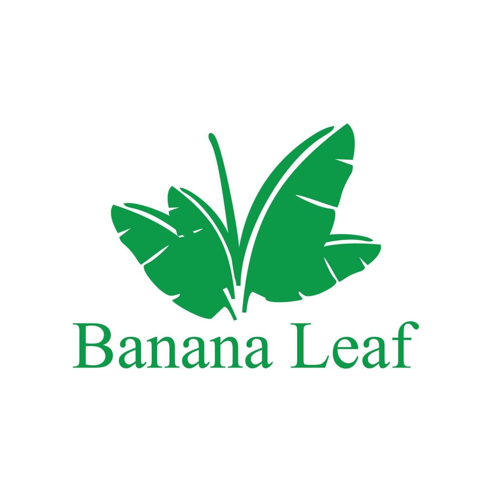 grüne Bananenblätter vektor