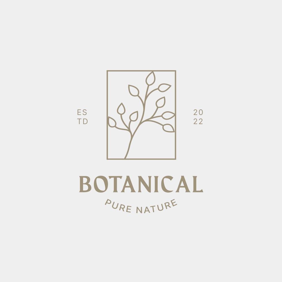 Botanische Logo-Designvorlage, Olivenöl, Blumenlogo, feminines Logo, Schönheitslogo-Premium-Vektor vektor