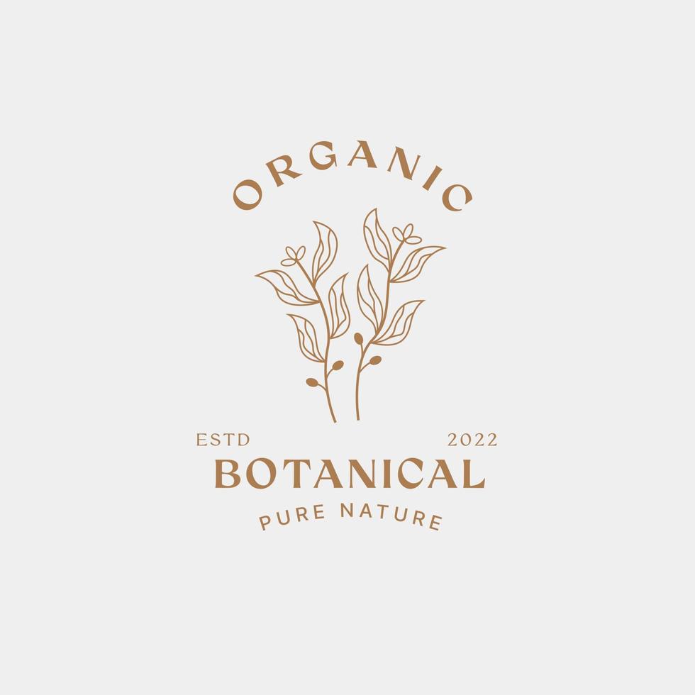 Botanische Logo-Designvorlage, Olivenöl, Blumenlogo, feminines Logo, Schönheitslogo-Premium-Vektor vektor