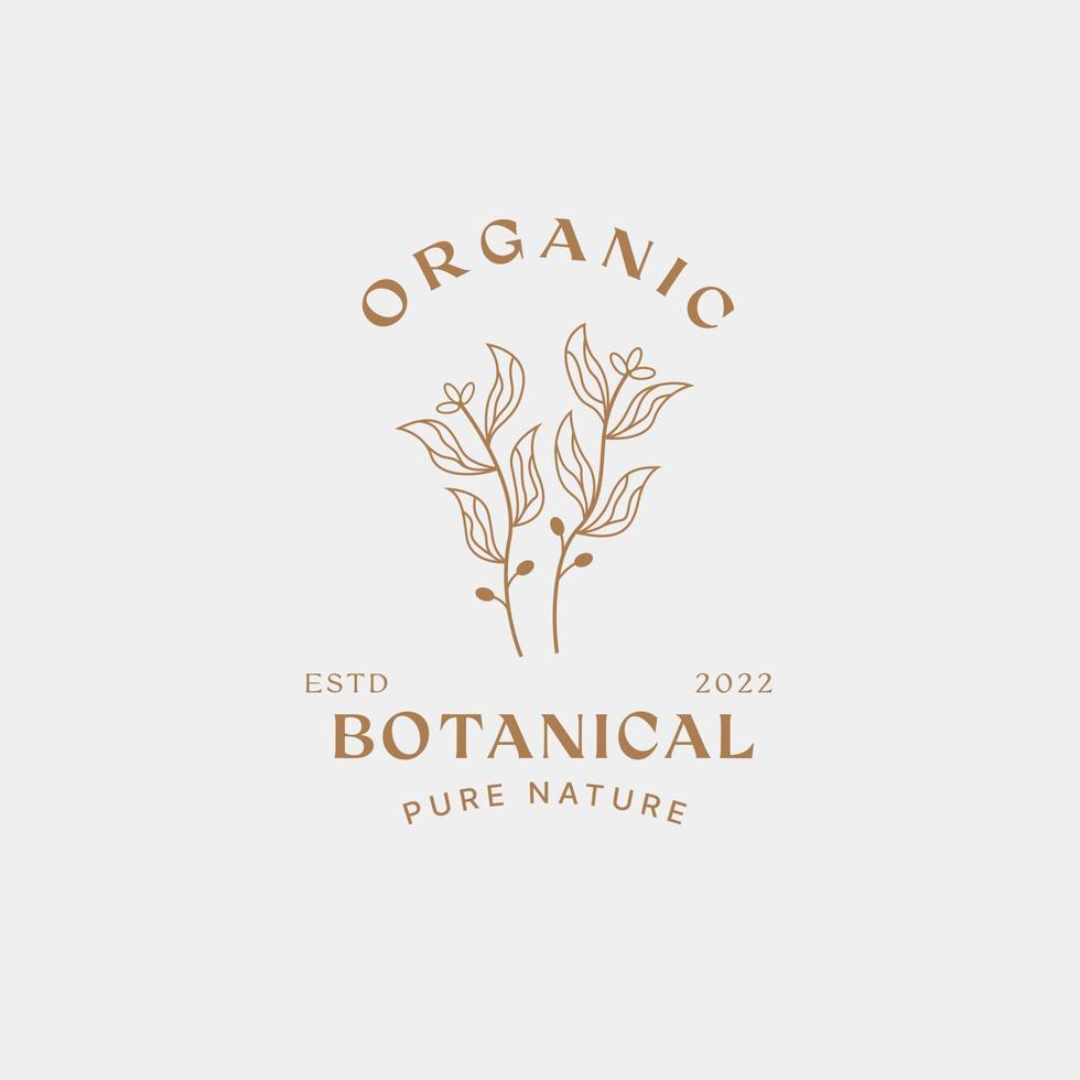 botanisk logotyp formgivningsmall, olivolja, blommig logotyp, feminin logotyp, skönhetslogotyp premium vektor