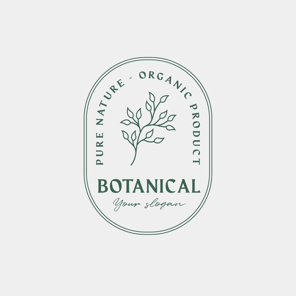 Botanische Logo-Designvorlage, Olivenöl, Blumenlogo, feminines Logo, Schönheitslogo-Premium-Vektor vektor