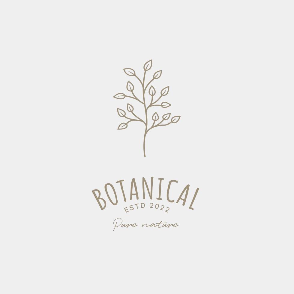 Botanische Logo-Designvorlage, Olivenöl, Blumenlogo, feminines Logo, Schönheitslogo-Premium-Vektor vektor