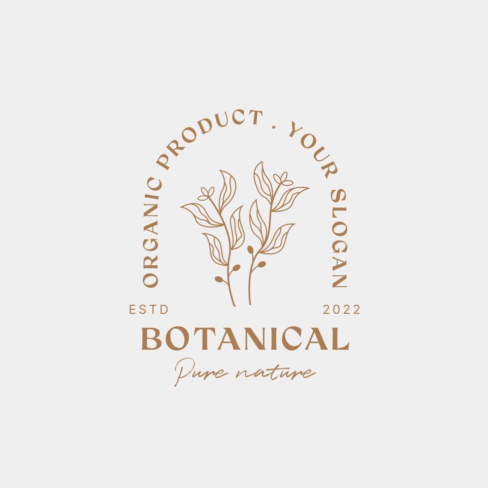 Botanische Logo-Designvorlage, Olivenöl, Blumenlogo, feminines Logo, Schönheitslogo-Premium-Vektor vektor