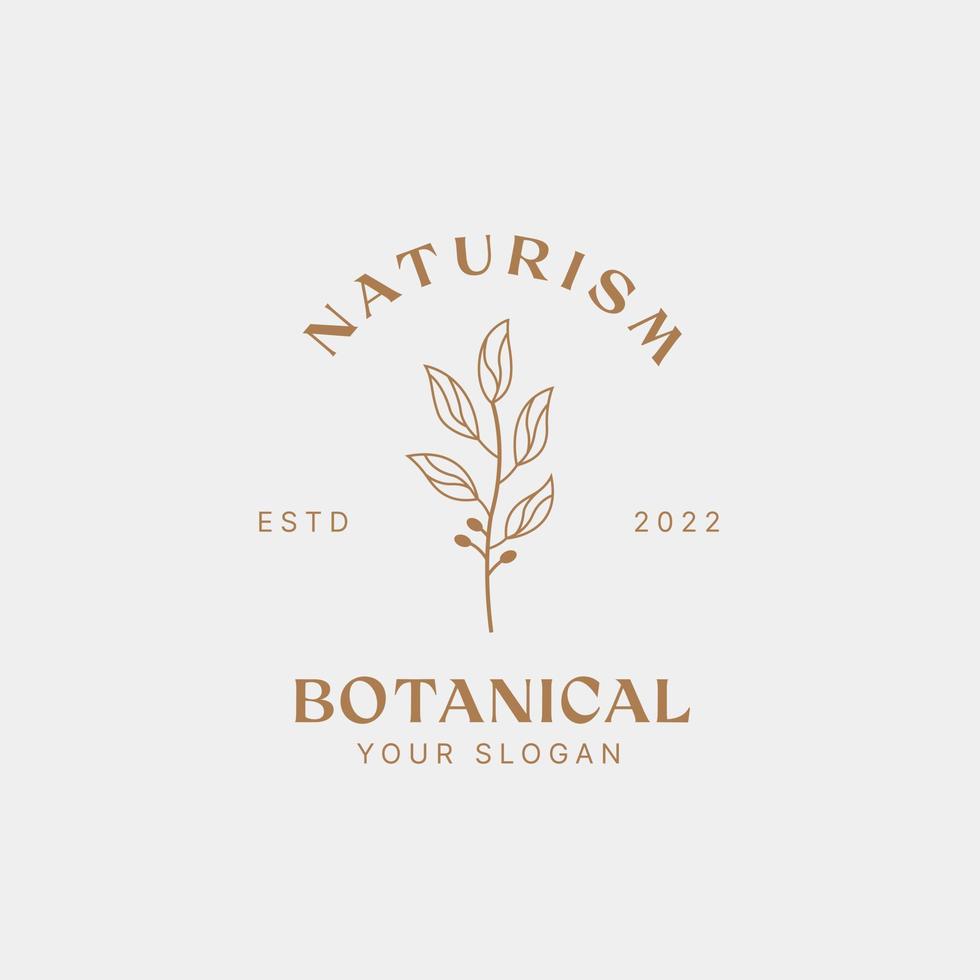 Botanische Logo-Designvorlage, Olivenöl, Blumenlogo, feminines Logo, Schönheitslogo-Premium-Vektor vektor