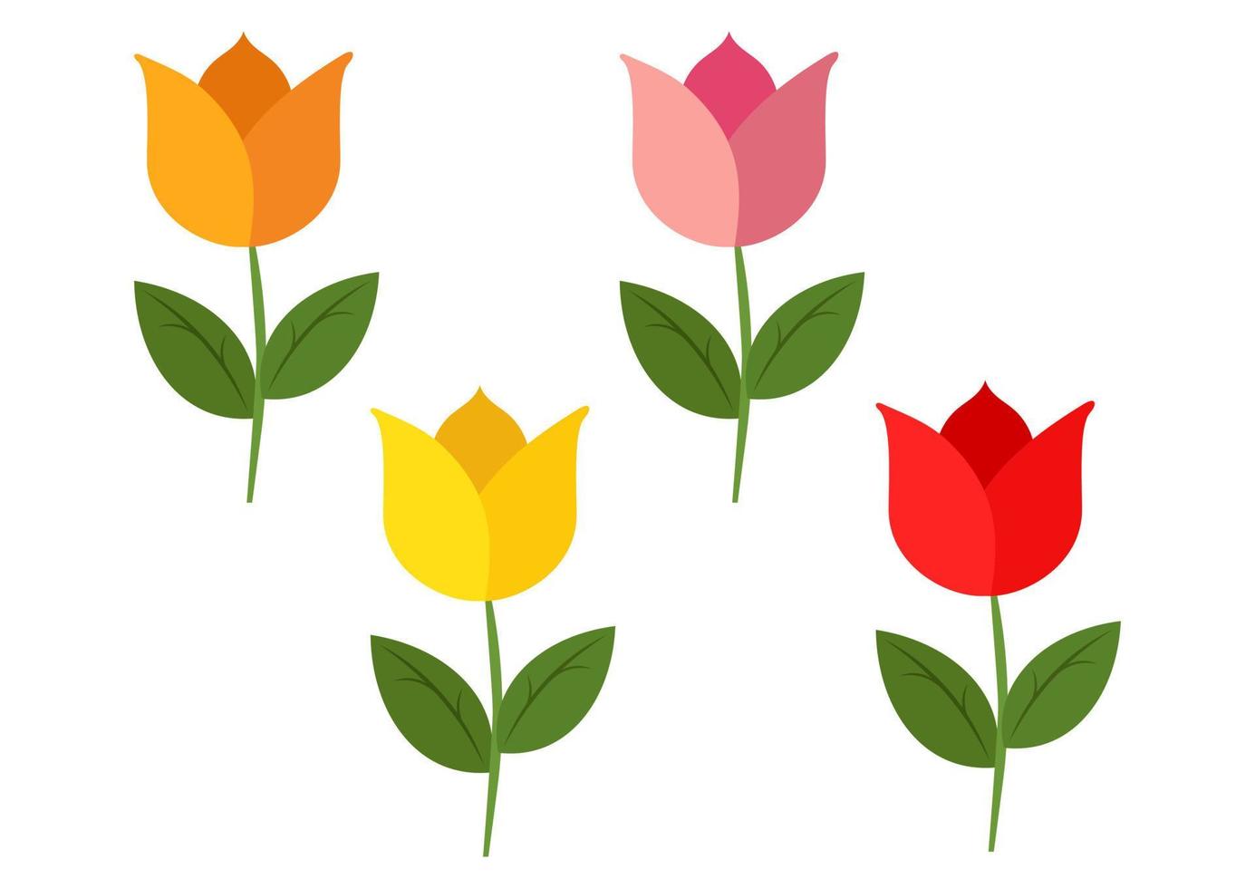 fyra tulpaner i olika färger isolerade på en vit bakgrund. vektor illustration av fyra färgade tulpaner