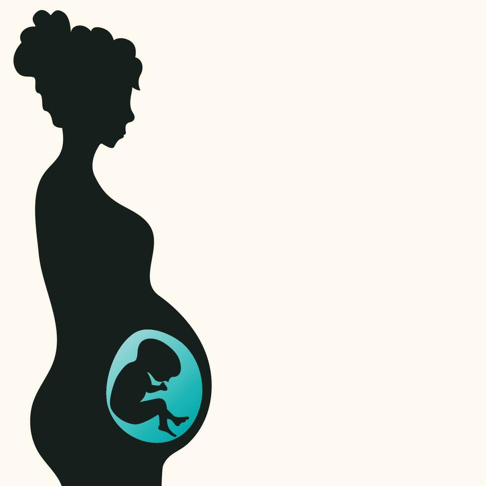 gravid kvinna med foster under utveckling vektor