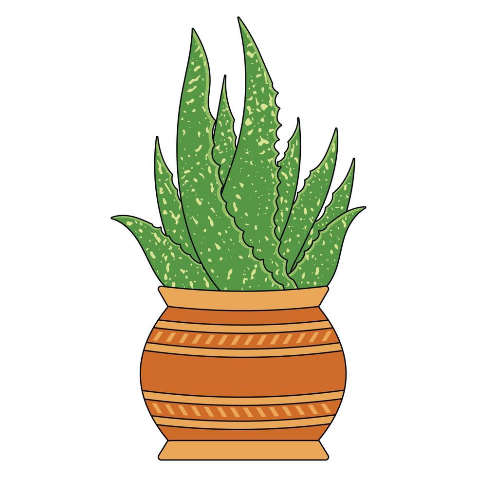 Grünpflanzen-Aloe im Bromn-Orangen-Topf vektor