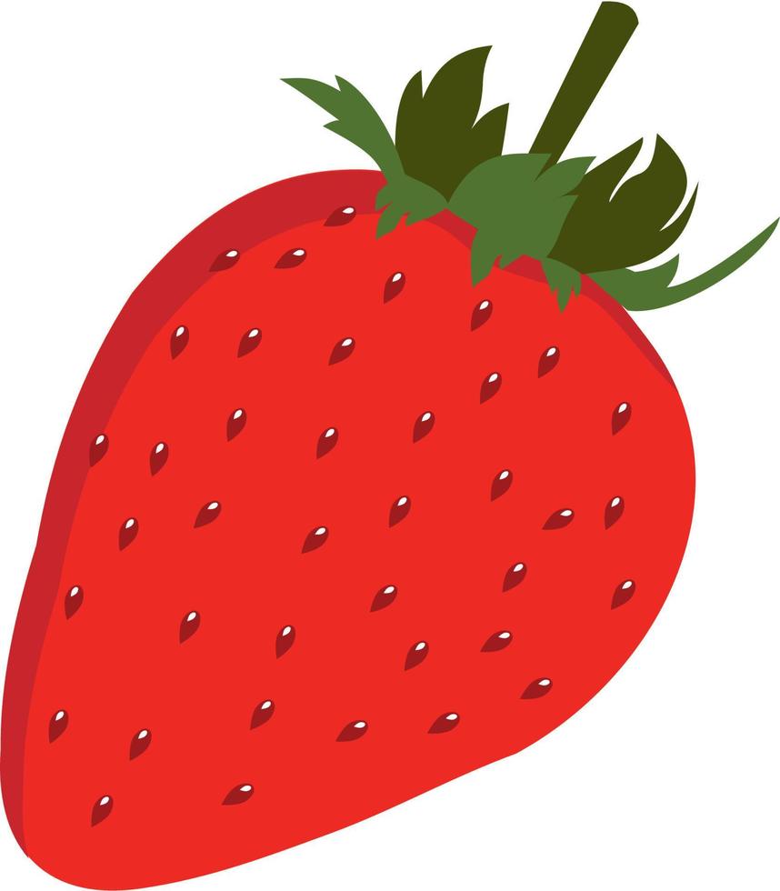 Erdbeere rote Sommerfrucht, weißer Hintergrund. Vektorgrafik. vegetarischer Café-Druck, Poster, Karte. natürliches, organisches Dessert süß. frische Beere. isoliert. vektor