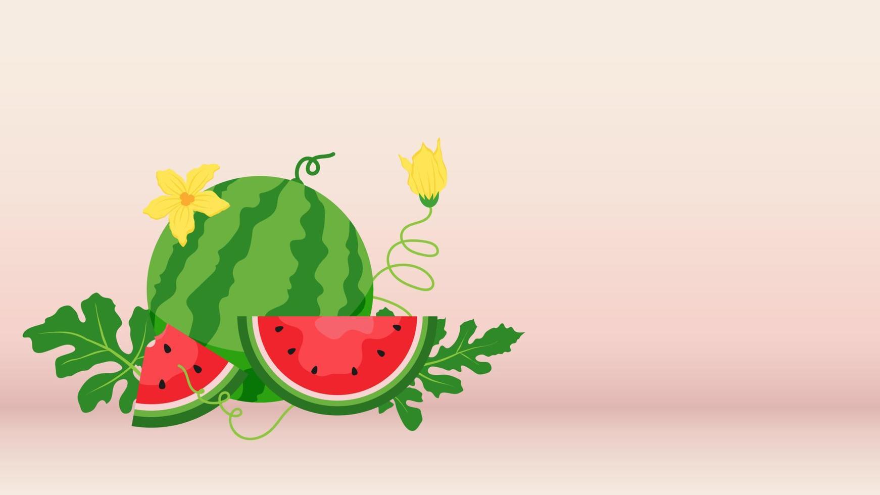 vattenmelon och saftiga skivor vektor, platt design av gröna blad och blomma och vattenmelon juice illustration, färsk och saftig frukt koncept av sommarmat. vektor