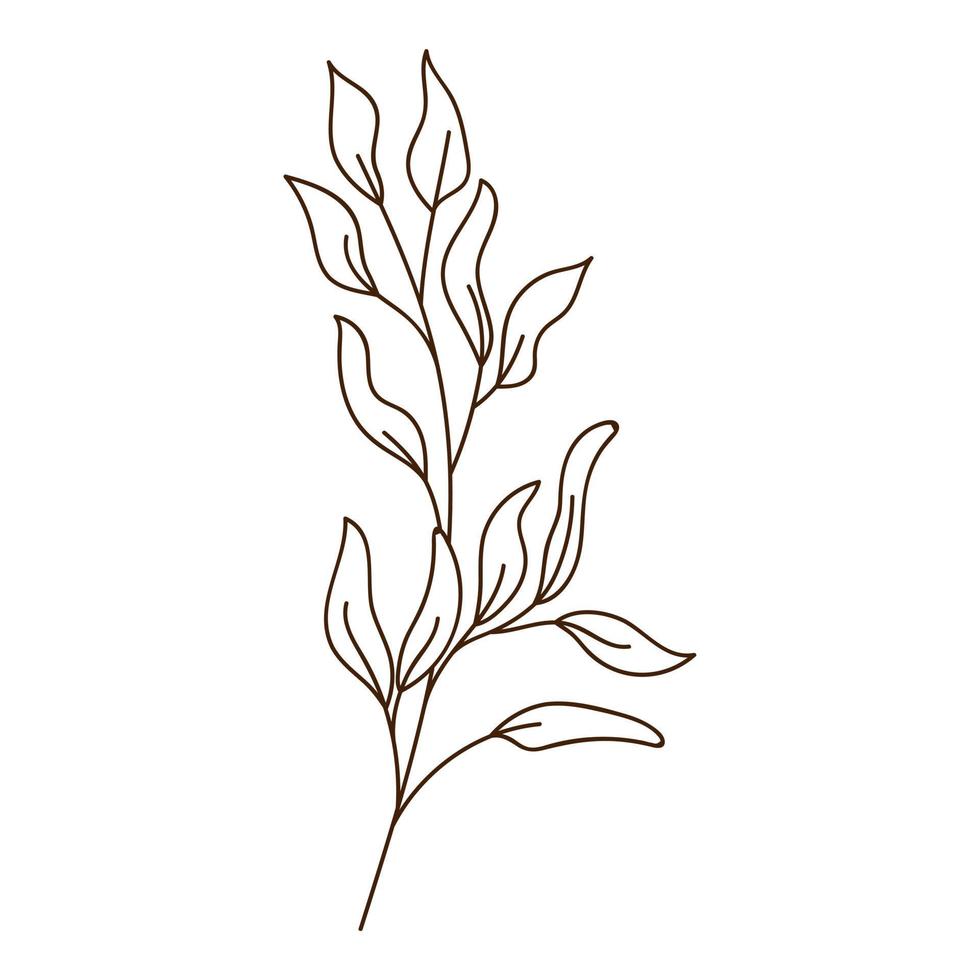 abstrakt kvist med löv. ett grässtrå. hösttid. botaniska, växtdesignelement med kontur. doodle, handritad. platt design. svart vit vektorillustration. isolerad på vitt. vektor