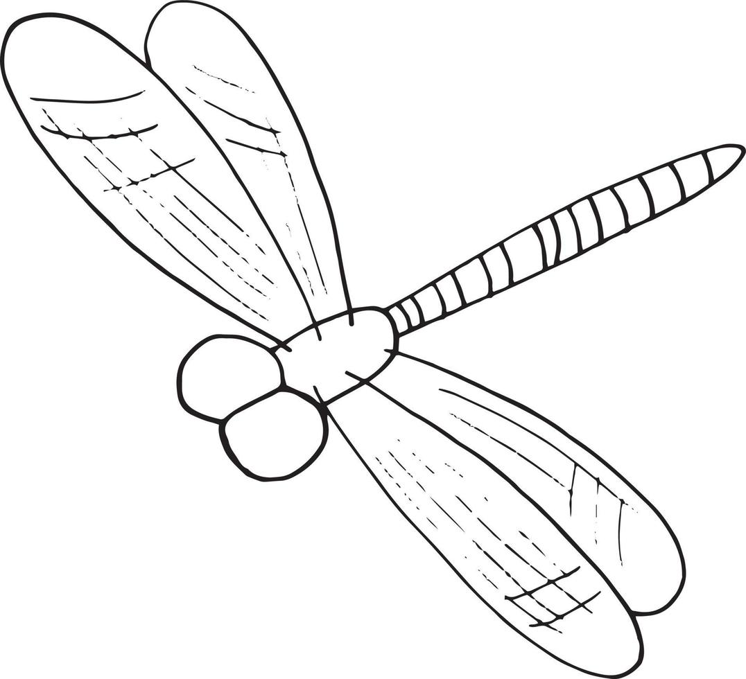 Libelle-Symbol. handgezeichneter Doodle-Stil. , Minimalismus, monochrome Skizze Insektenfliegen vektor