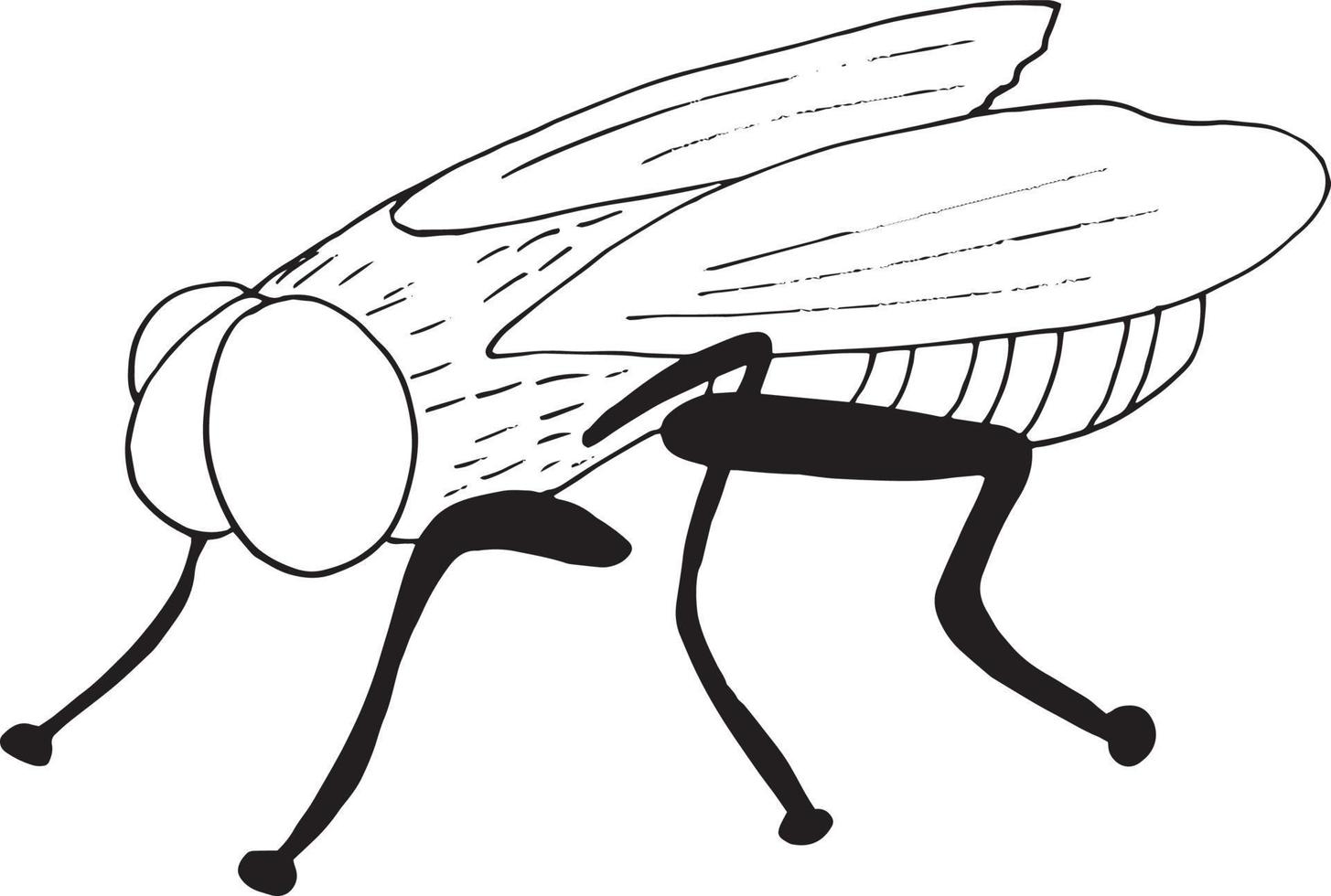 Fliegen-Symbol. handgezeichneter Doodle-Stil. , Minimalismus, monochrome Skizze Insektenplage fliegt vektor