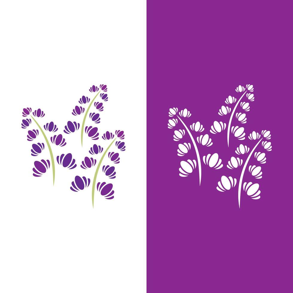 färsk lavendel blomma logotyp vektor