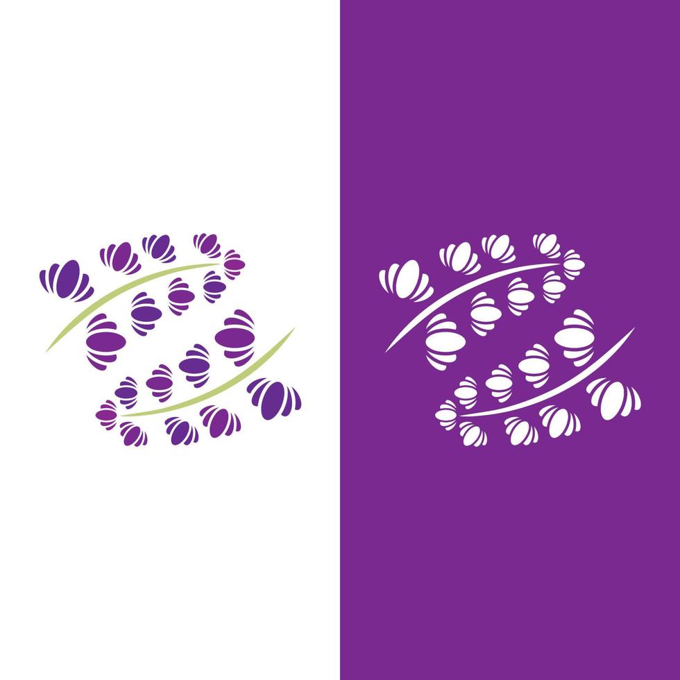 färsk lavendel blomma logotyp vektor