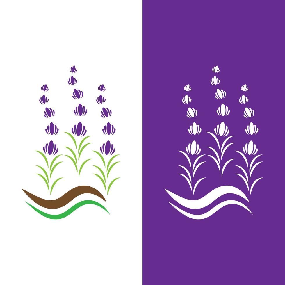 färsk lavendel blomma logotyp vektor