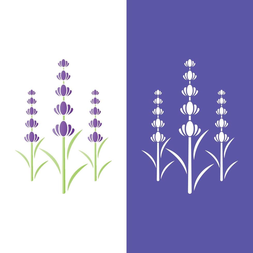 färsk lavendel blomma logotyp vektor