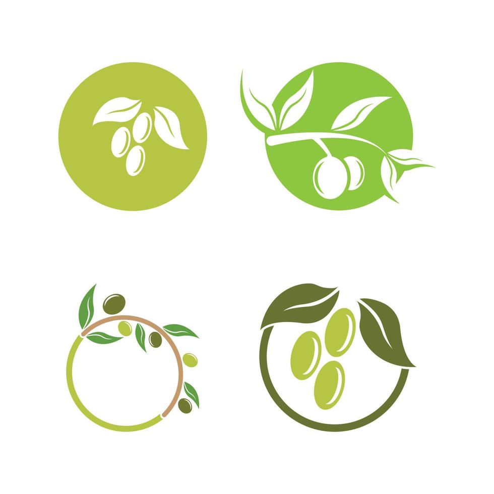 Olivensymbol Vektor-Illustration-Design vektor