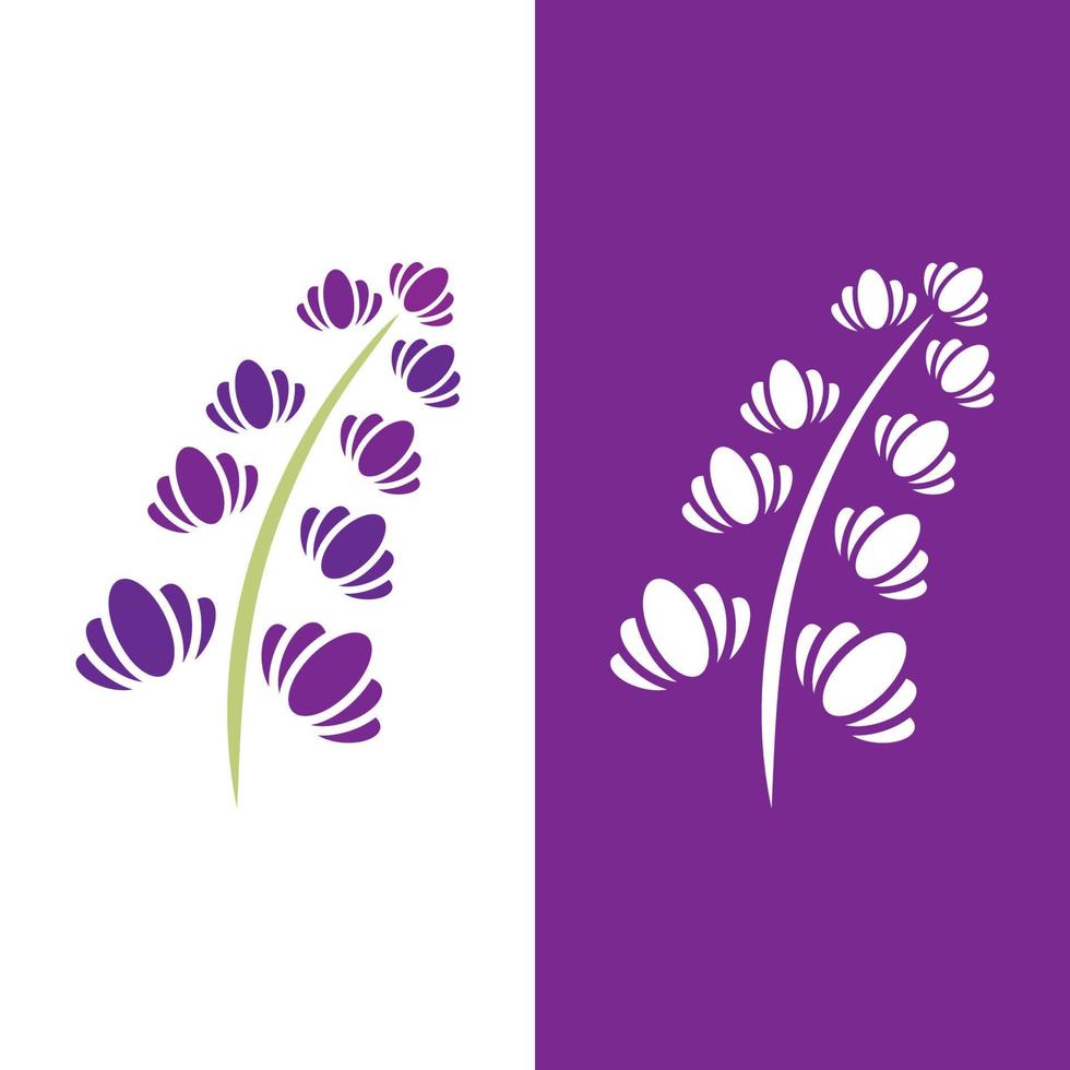 färsk lavendel blomma logotyp vektor