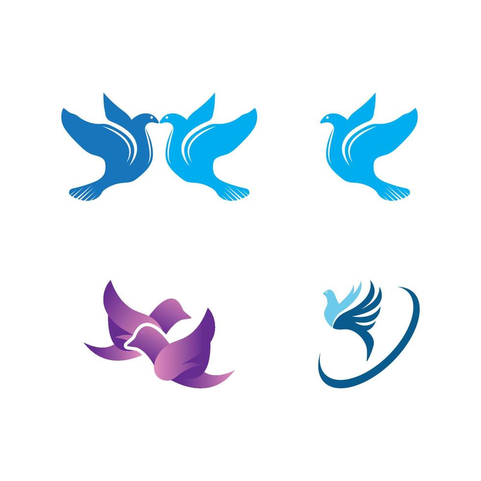 Taube Vogel Logo Vektordesign vektor