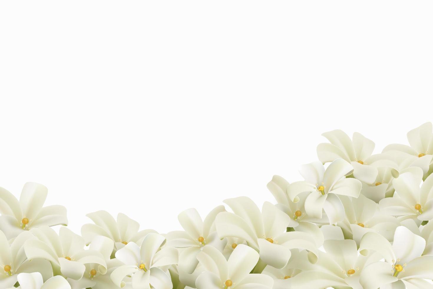 weiße Blumen isoliert auf weißem Hintergrund. realistische eps-datei. vektor