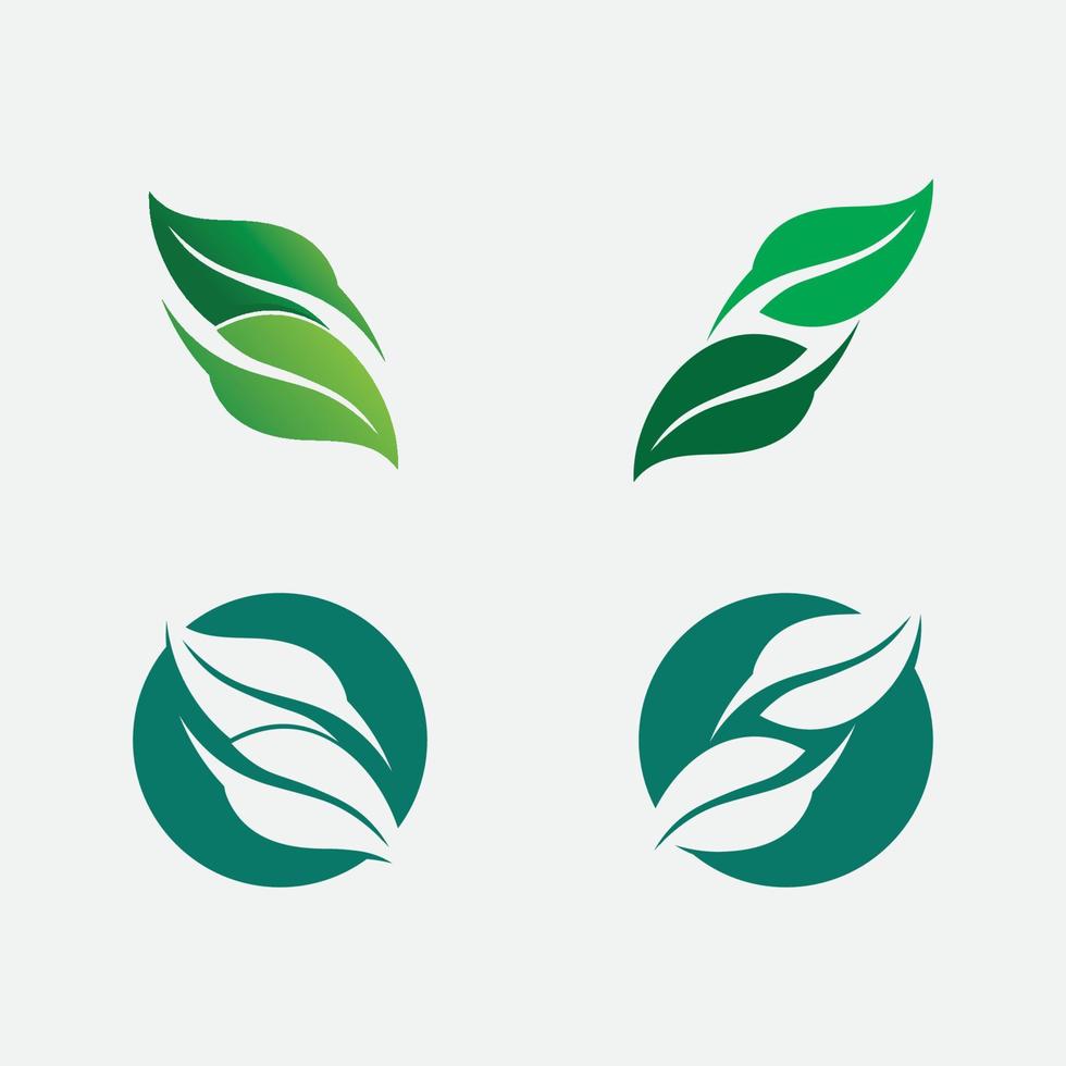 Blatt- und Naturbaum-Set-Logo für Business-Vektor-Grünpflanzen-Ökologie-Design vektor