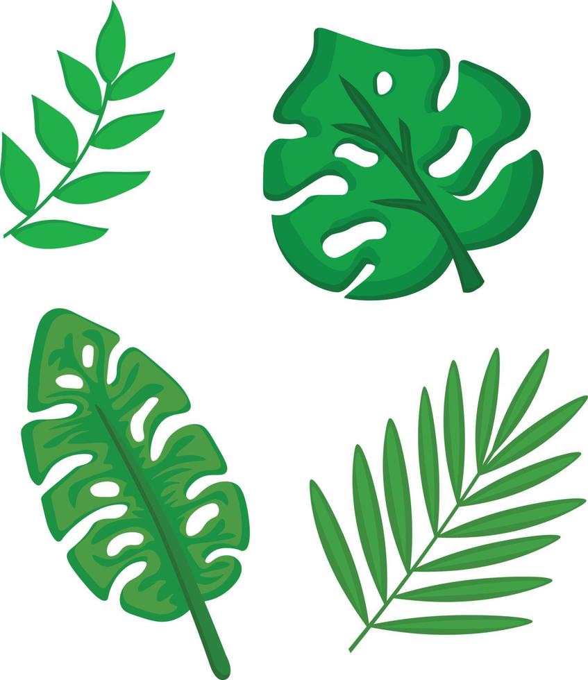 tropische Blätter zur Dekoration vektor