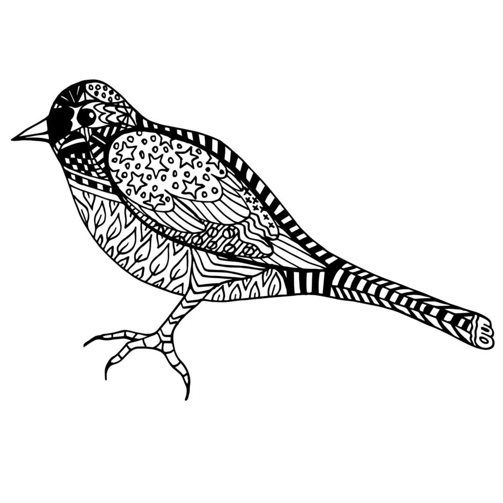 Schwarz-Weiß-Bild zum Ausmalen mit schönem Vogel. Zen-Kunst. Vektorbild. vektor