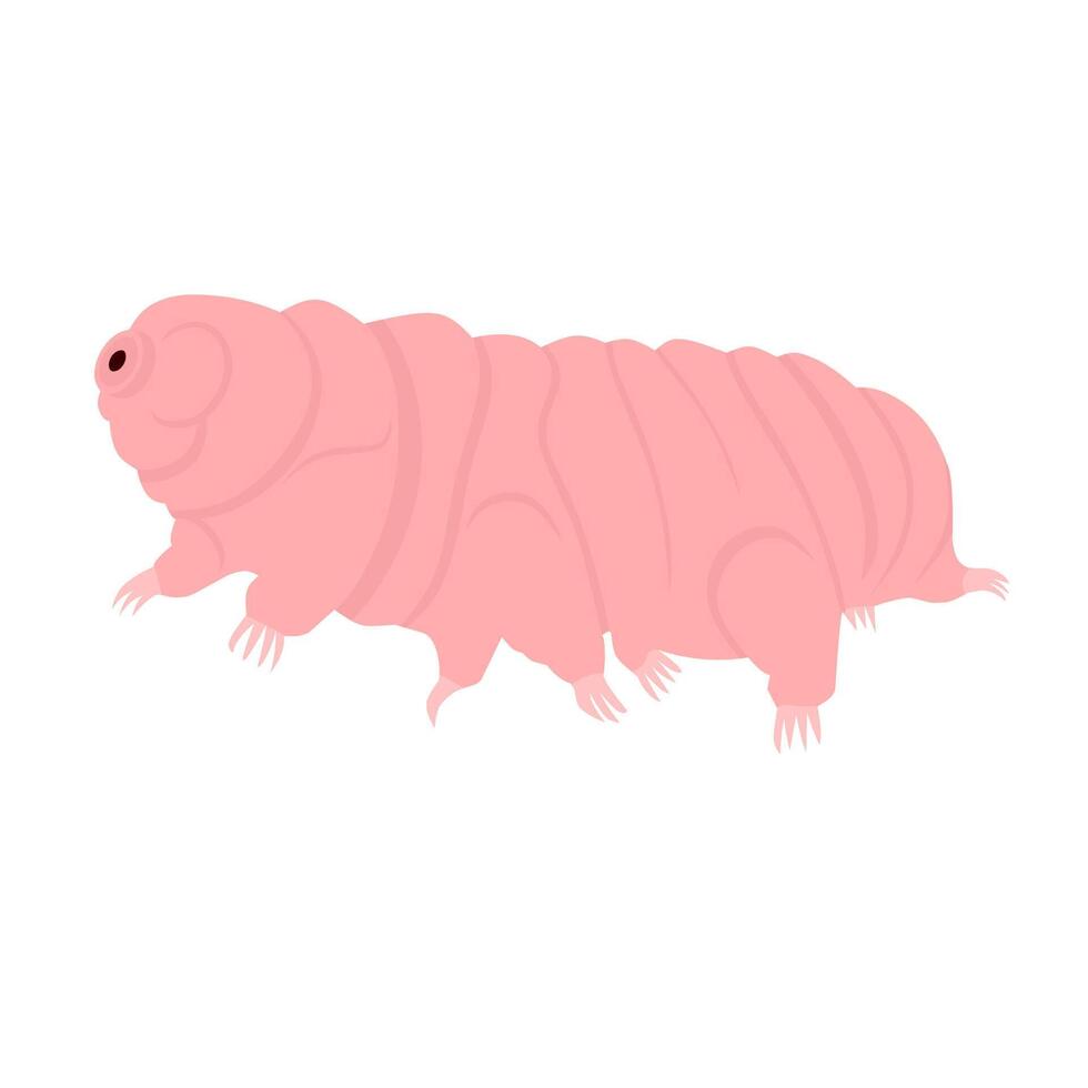 tardigrad eller vattenbjörn. åttabent mikroskopiskt ryggradslösa djur. tecknad vektorillustration. vektor