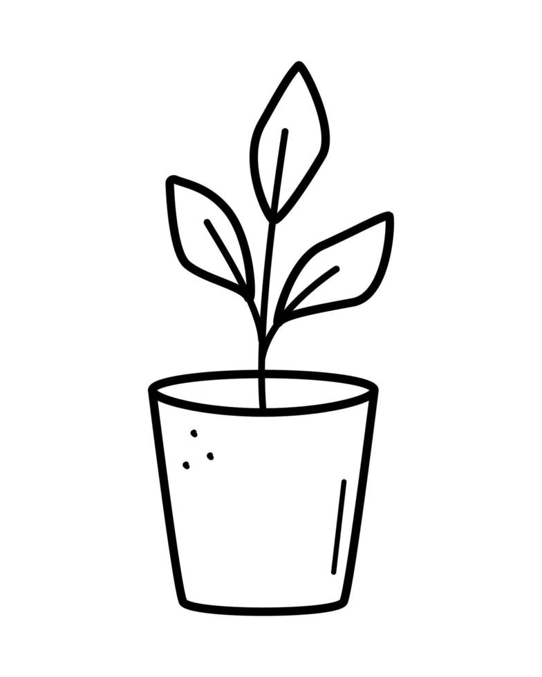 Setzlinge in einem Topf, Vektorillustration von Pflanzen in einem Blumentopf-Doodle-Stil. vektor