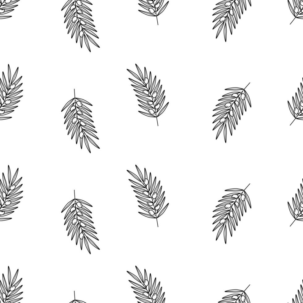 nahtloses muster von olivenbaumzweigen und blättern und olivenbeeren. Vektorillustration, Hintergrund oder Tapete vektor