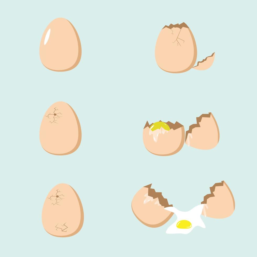 uppsättning av kycklingägg knäckt ägg vektor