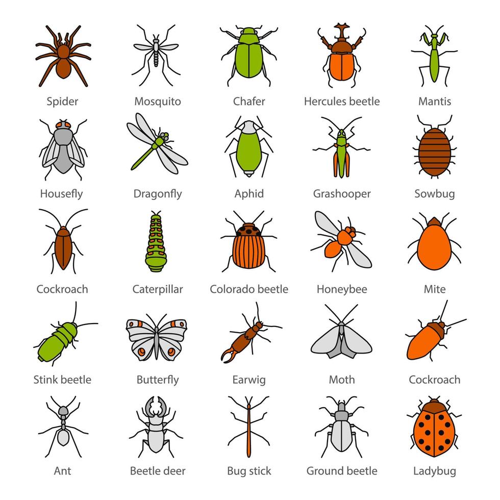 insekter färg ikoner set. buggar. entomolog samling. fjäril, örontvist, svensexa, phasmid, mal, myra, mantis, spindel. isolerade vektorillustrationer vektor
