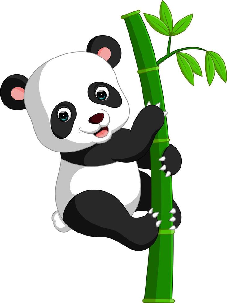 söt panda tecknad vektor
