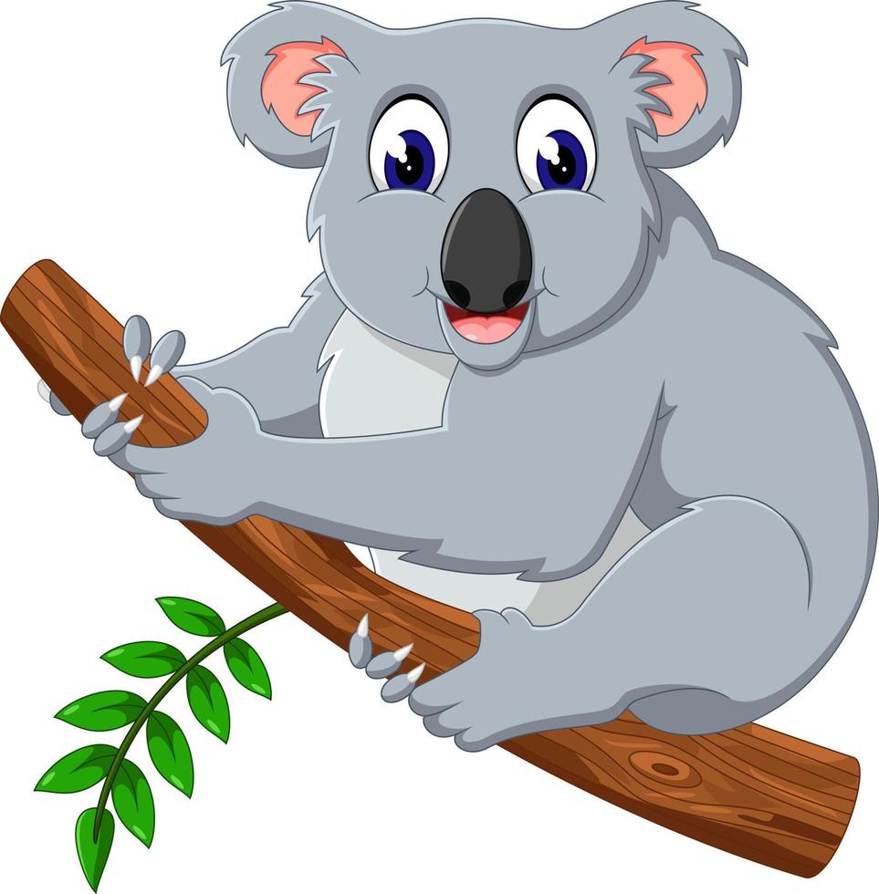 süßer fetter koala-cartoon vektor