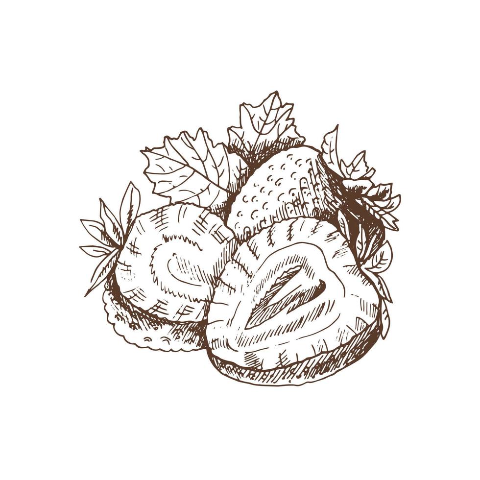 vektor skiss av färska ekologiska jordgubbar, skivor. handritad illustration. sommar frukt och bär graverad stil illustration. perfekt för etikett, affisch, tryck.
