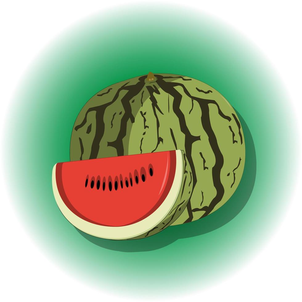 echter illustrationsvektor der frischen wassermelone vektor