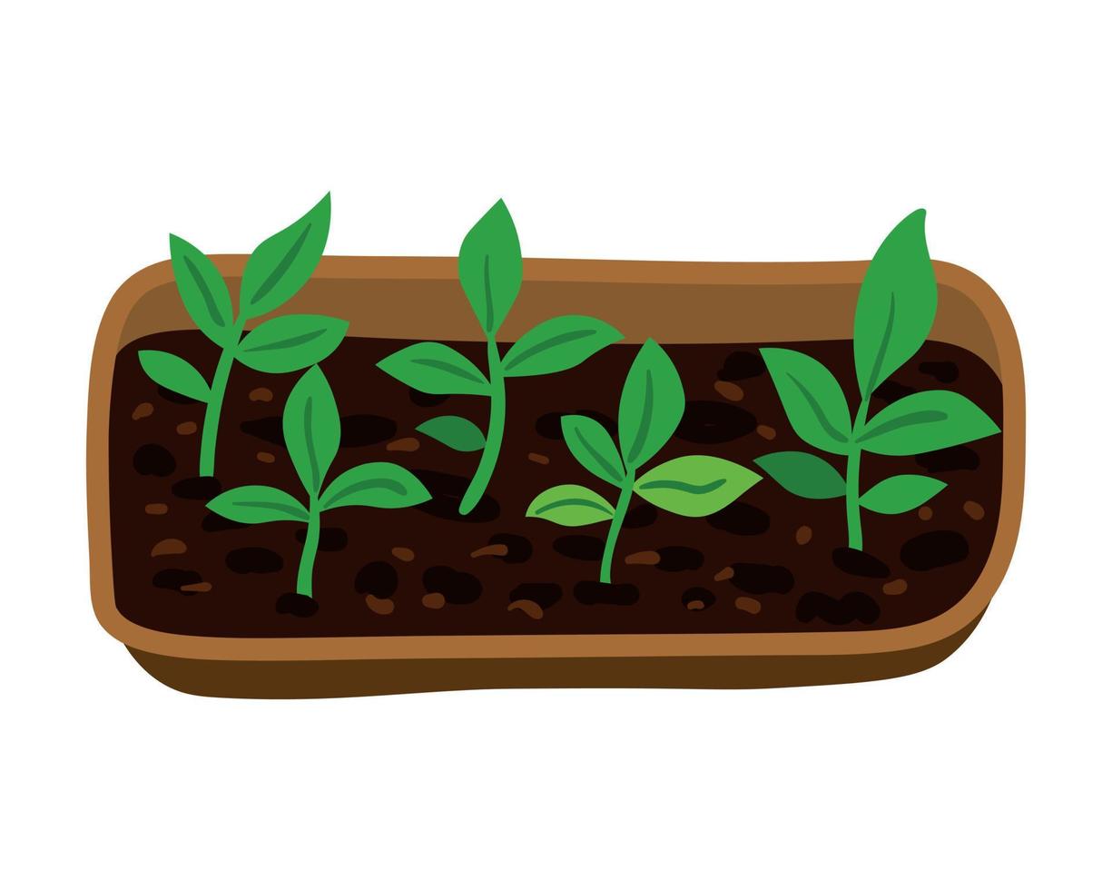 illustration av behållare med gröna plantor med löv vektor