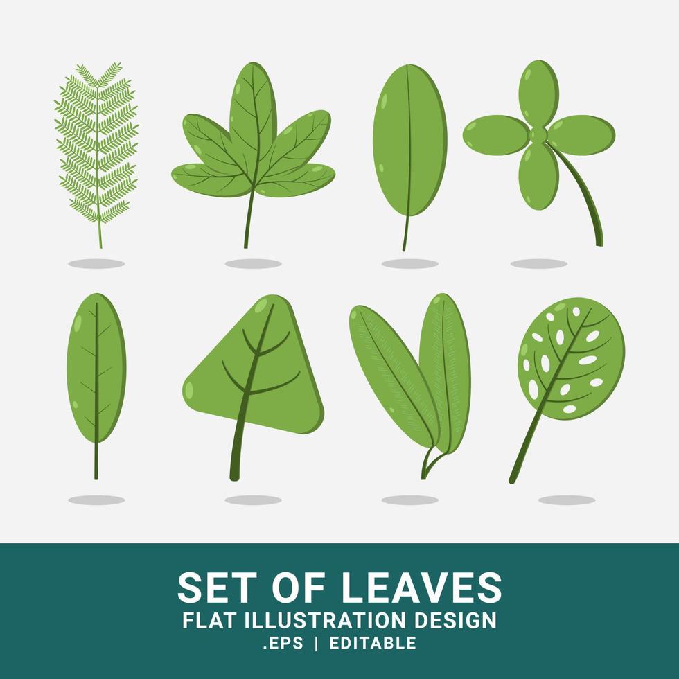 Vektorgrafik des flachen Illustrationsdesignsatzes der Blätter. mit grünem Farbschema. geeignet für die Sammlung von Grafikdesign-Assets vektor