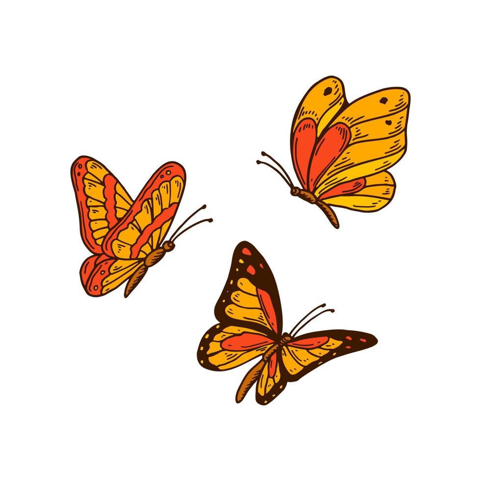 uppsättning handritade färgglada orange fjärilar. vektor illustration