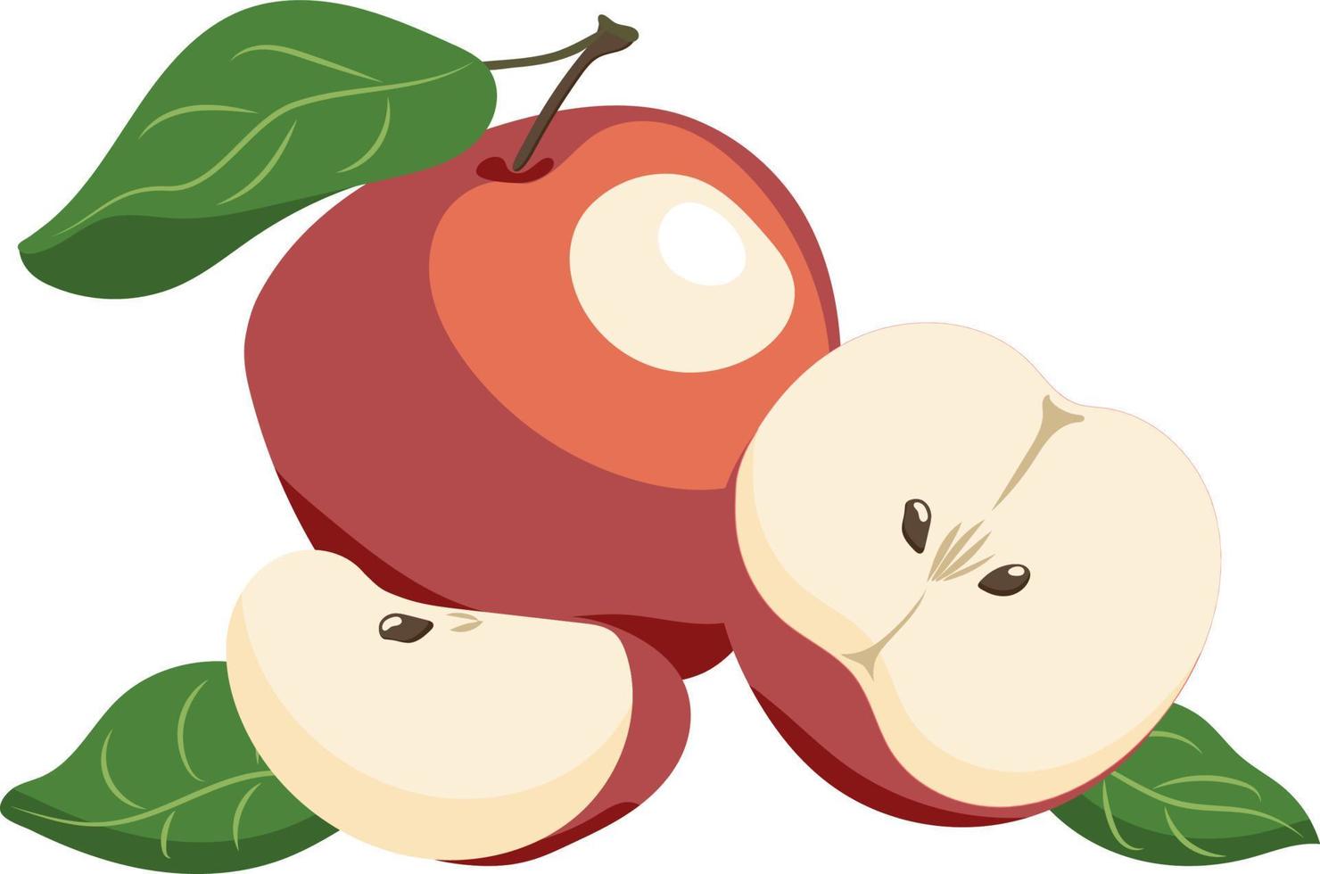 Vektor aus rotem Apfel, einem in Scheiben geschnittenen und einem halbierten isoliert auf weißem Hintergrund