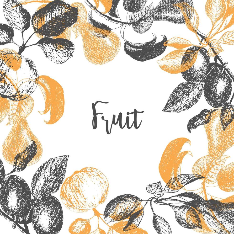 frukt plommon äpple päron designmall. handritade vektorillustrationer, frimärken, utskrifter. vektor