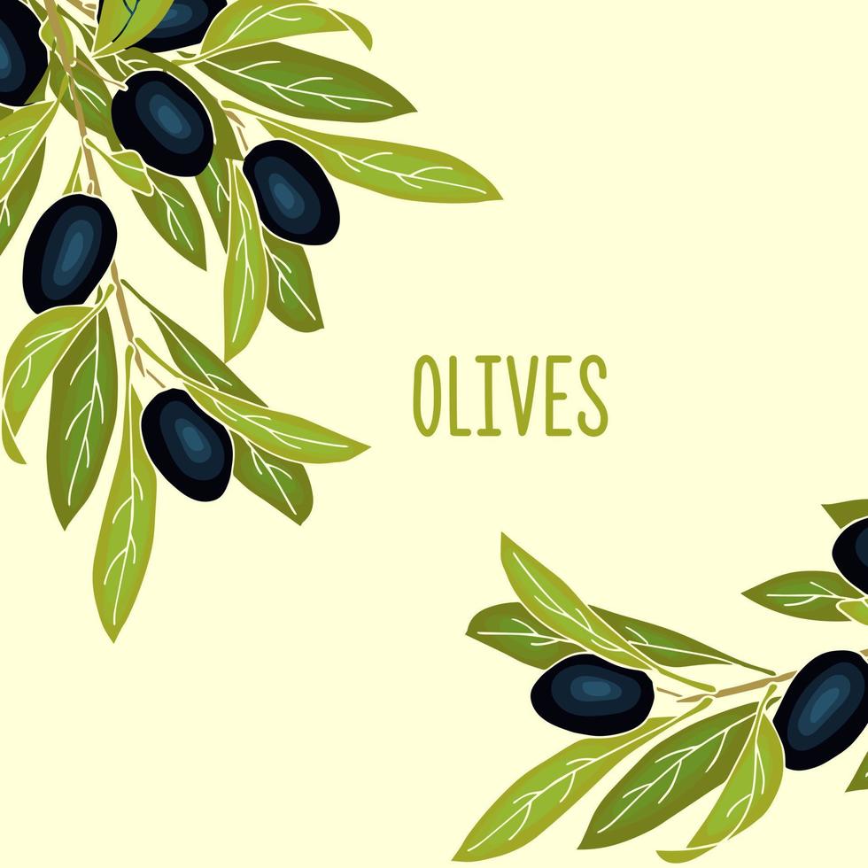 Oliven-Banner-Hintergrund mit reifen Olivenbeeren und Platz für Text. Layout oder Bannerdesign für Olivenöl und Naturkosmetik, Gesundheitsprodukte. vektor