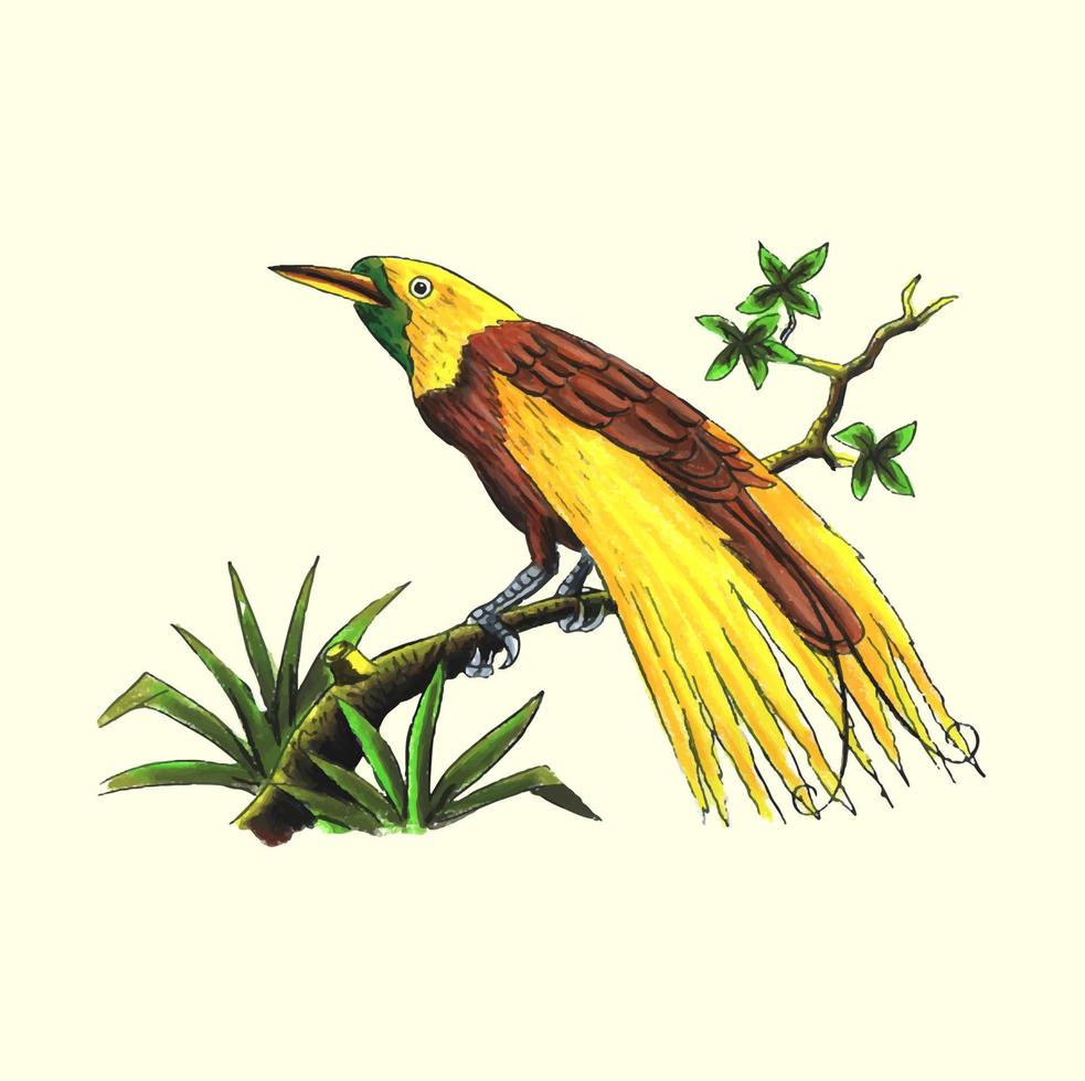 Illustration handgezeichneter Paradiesvogel vektor