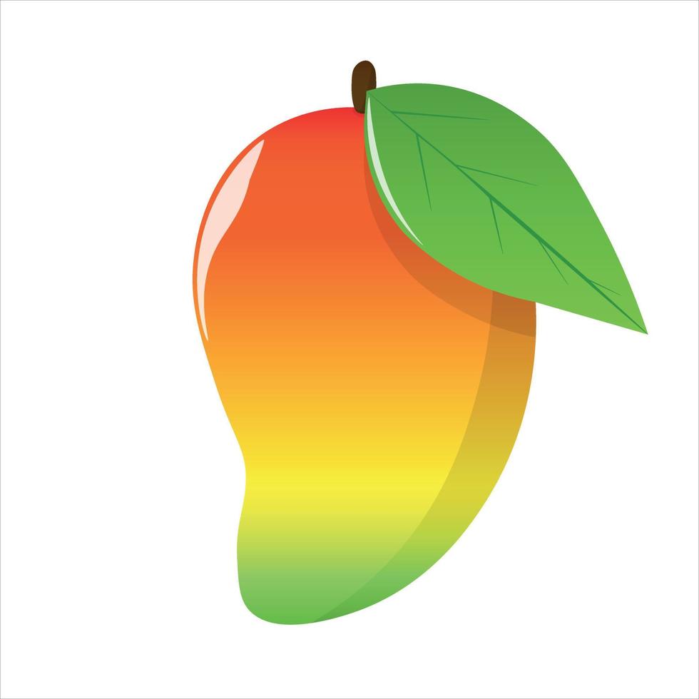Mango reife Frucht isoliert auf weißem Hintergrund, farbige Cartoon für ClipArt, Illustration, Vektor
