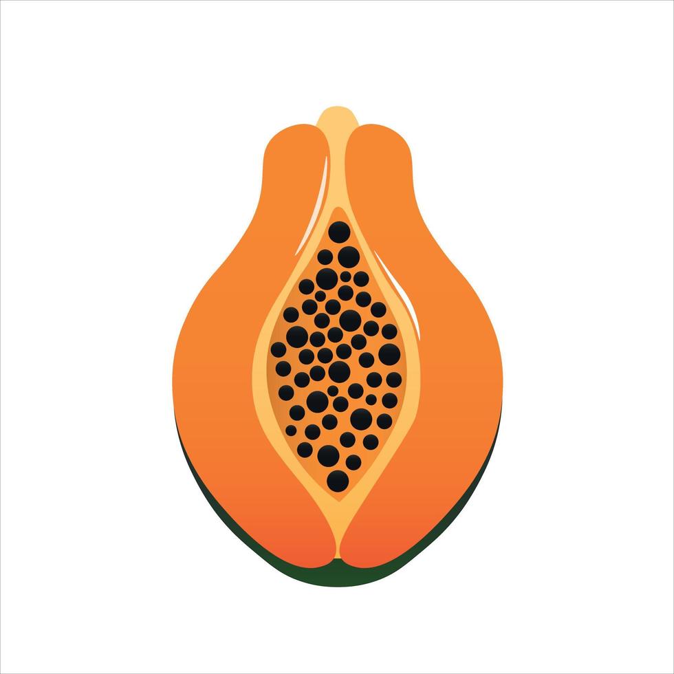 Papaya-Symbol. flache Illustration des Papaya-Vektorsymbols isoliert auf weißem Hintergrund vektor